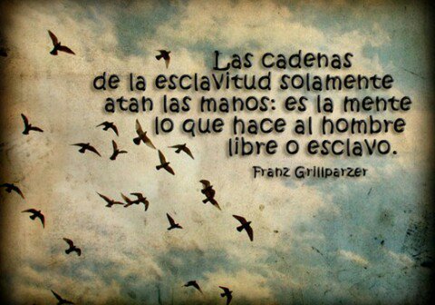 Pigomezsa's tweet photo. Darme cuenta de que #MeLoCreoTodo y sentir una estupenda libertad :) https://t.co/8gYXrWvqj1