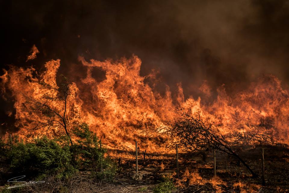 vwsfires's tweet photo. Yesterday we worked alongside firefighters from @cptfrs #KoebergFire. Pic: @Sullphotography https://t.co/gIDiRs9xCh https://t.co/iTGoZw7jeq