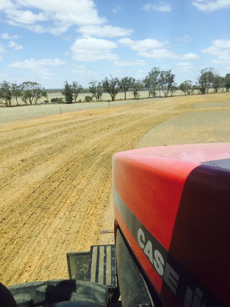 Oscar Alen tweet media