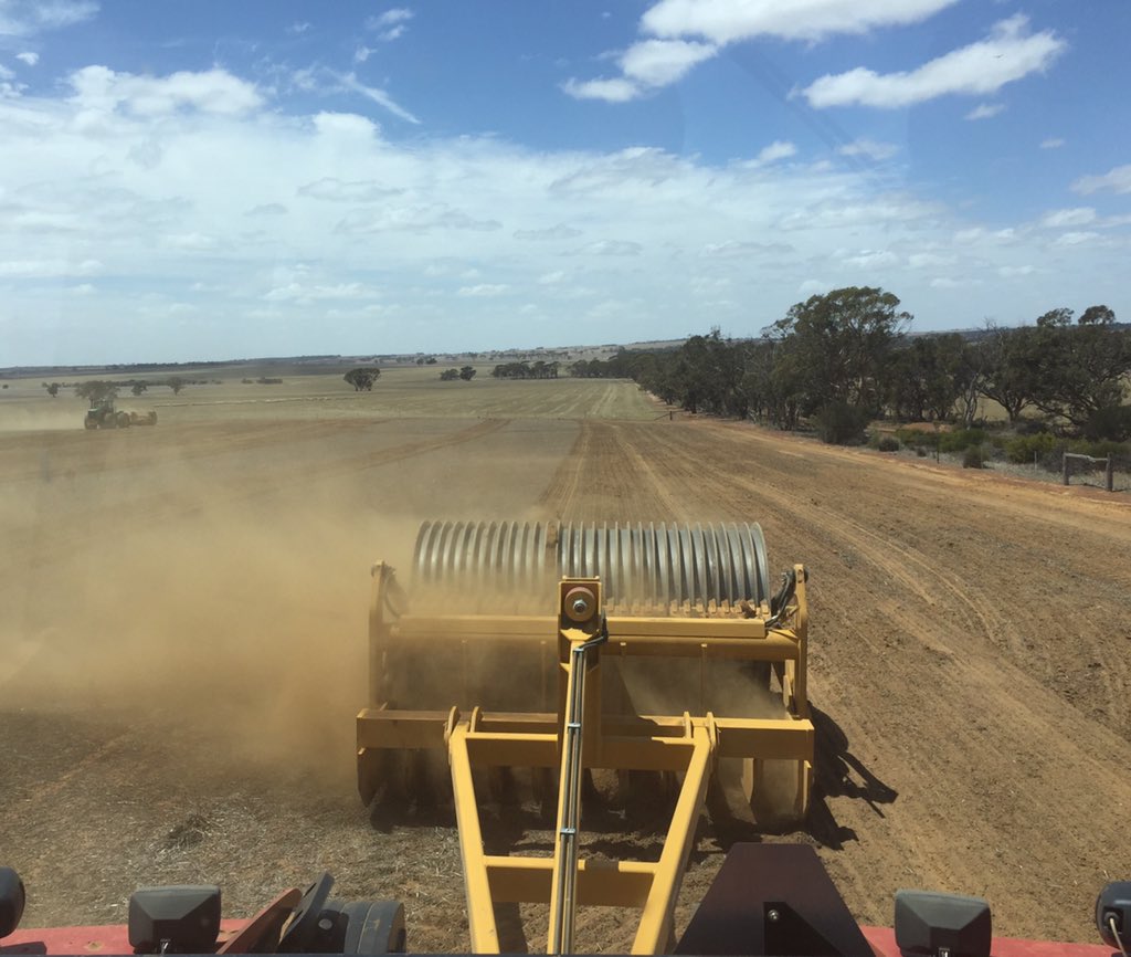 Oscar Alen tweet media