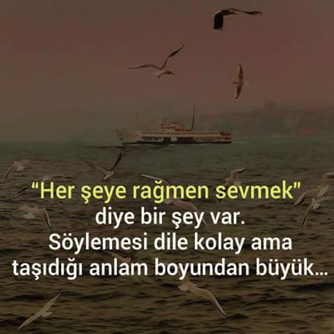 guleymanova's tweet photo. Bu heyatda insanlar herşeye reğmen heçneyi anlamazlar... https://t.co/zXxpjr4vCU