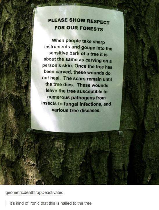 ThePoke's tweet photo. #recap This conservationist didn’t think it through

https://t.co/nclGAlxA5w https://t.co/P0gRp5udQE
