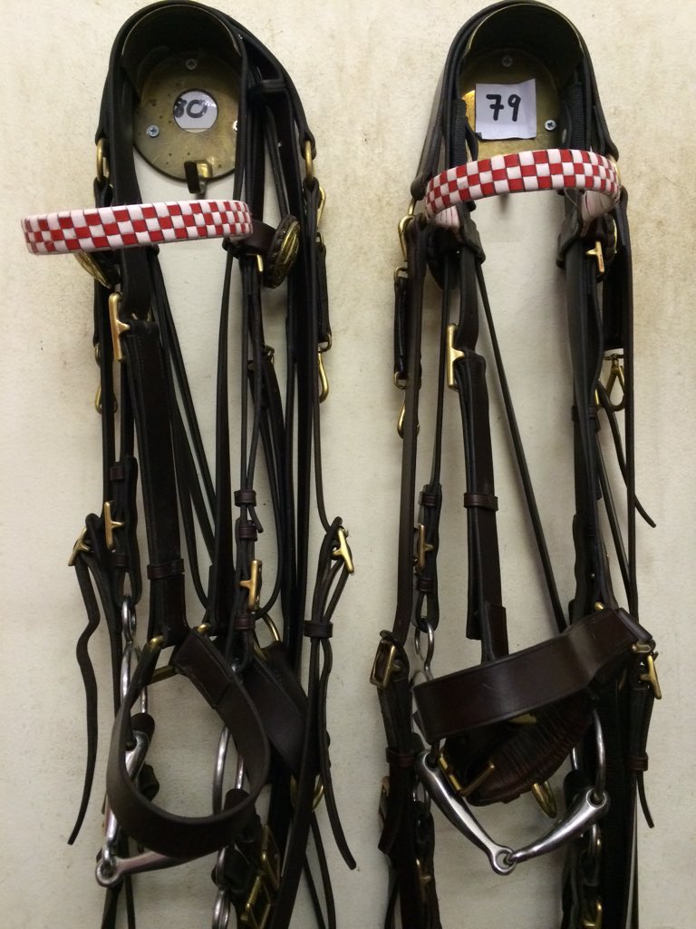 CityHorses's tweet photo. The head kits of #CHIndiana and #CHSocks cleaned and ready for the next patrol. https://t.co/WBdl0mjNY5