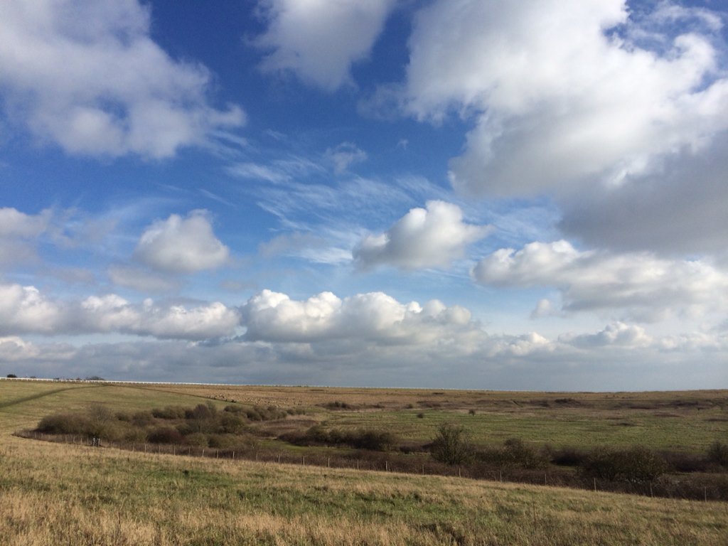 DogBrighton's tweet photo. Beautiful sky today over Brighton https://t.co/NtnNMn9SC0