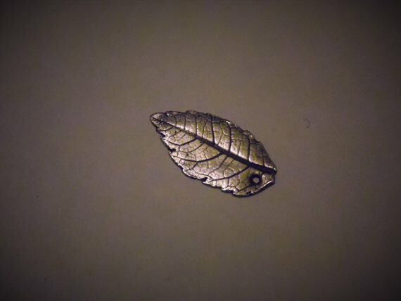 leafysilver1 tweet picture