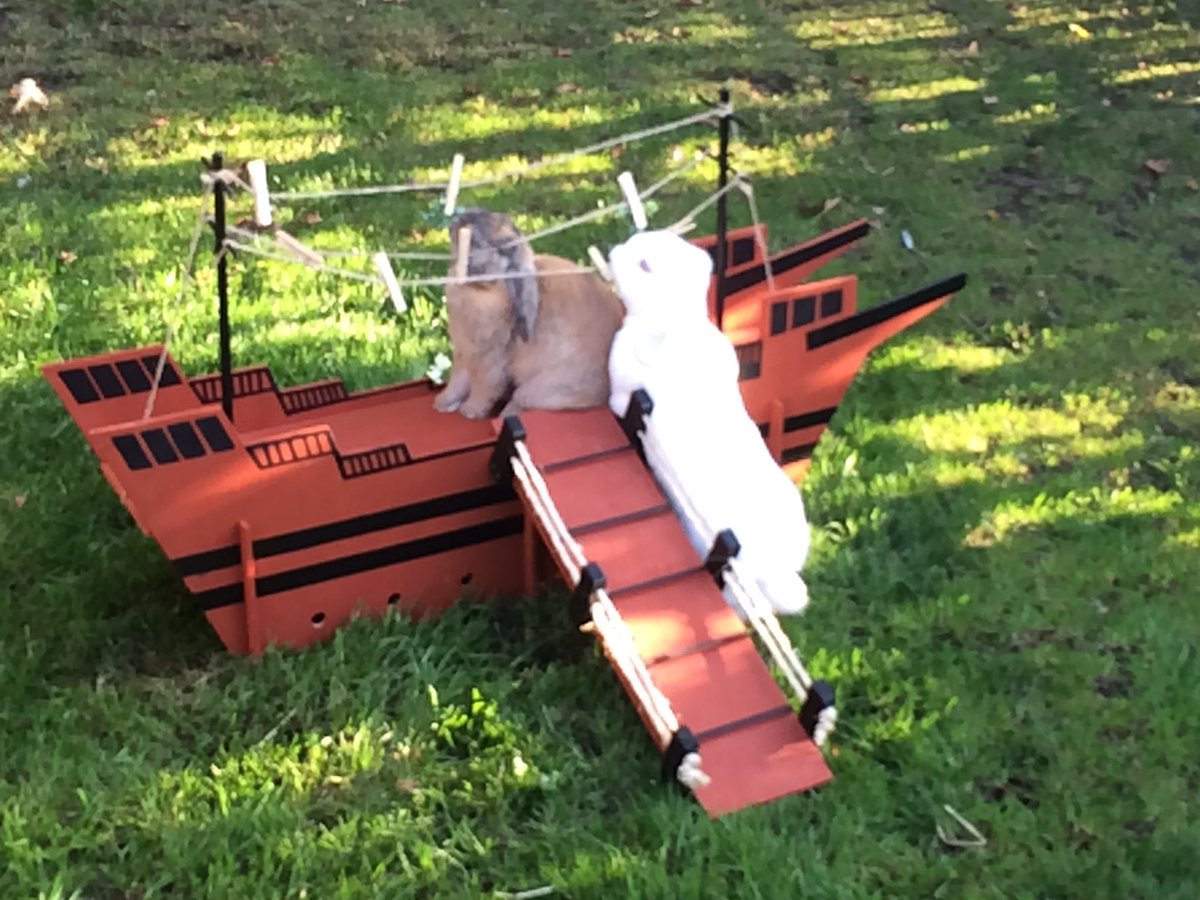 happyrabbitco's tweet photo. @benshephard you said you'd got rabbits for your boys... We'd love to make them something https://t.co/rWOWxOkdJX https://t.co/3sUjt40hp5