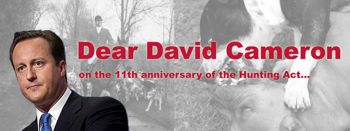League Against Cruel Sports (@leagueacs) on Twitter photo <a href="/rickygervais/">Ricky Gervais</a> A letter to <a href="/David_Cameron/">David Cameron</a> on the Anniversary of the Hunting Act #keepthban bit.ly/dear-dc <a href="/rickygervais/">Ricky Gervais</a> A letter to <a href="/David_Cameron/">David Cameron</a> on the Anniversary of the Hunting Act #keepthban bit.ly/dear-dc