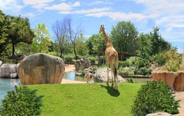 marisamargara's tweet photo. #ZoomTorino pronti alla riapertura il 5/03! #bioparco #Piemonte https://t.co/gLpr6E3NcQ https://t.co/jAgQDs7t1Q https://t.co/0EtBauEqQ2