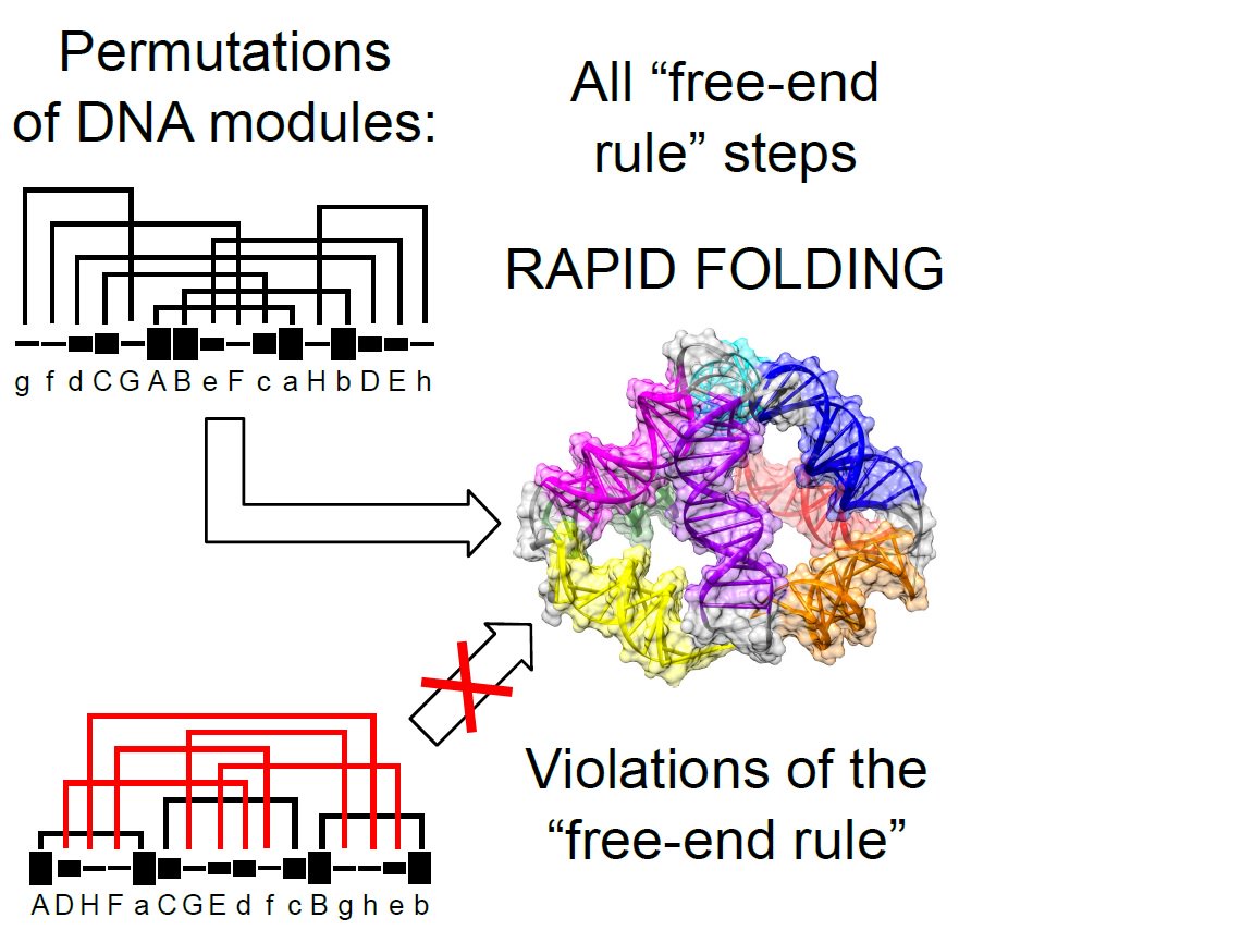 BiotehNIC's tweet photo. Molecular knitting: designing single chain DNA that rapidly folds into a knotted structure. https://t.co/MEJO5isEuE https://t.co/6OnDJ7E6Hk