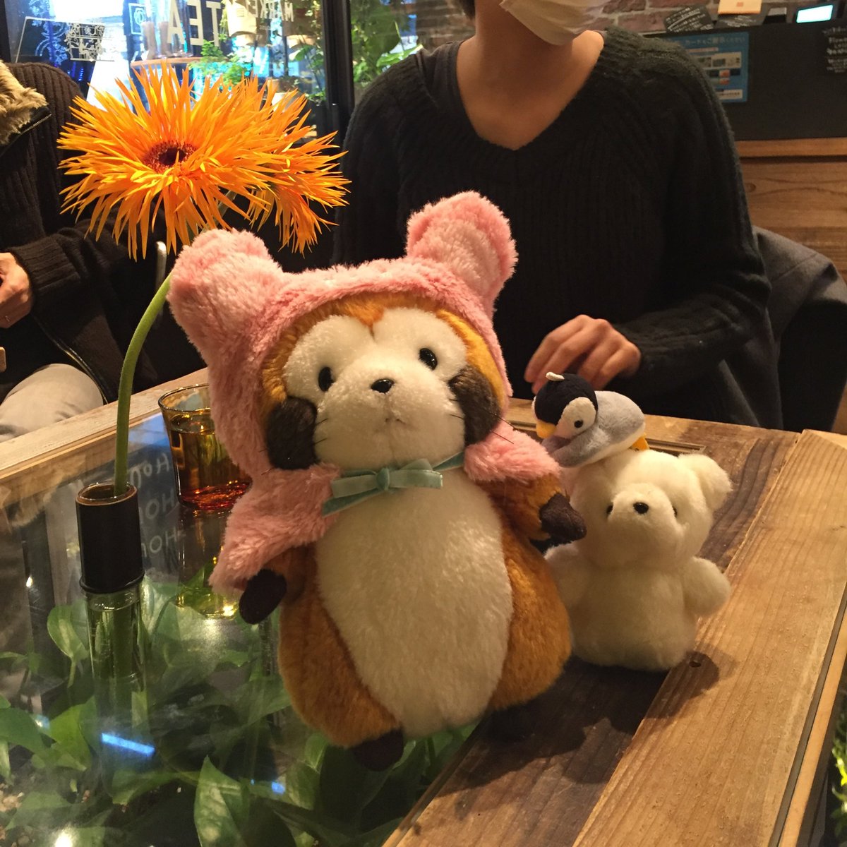 RascalAida13's tweet photo. 昨日はぺも連れてまやちゃんと会ったのみゃ😉 ひさしぶりのお出かけ楽しかった✌🏻️ おっさんのママ美人だった！(羨ましい) https://t.co/5iNzUxOMGF