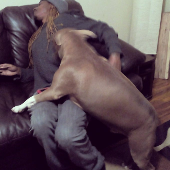 #DoggyStyle https://t.co/lTYOCke4FE<a href="/tag/doggystyle"class="tags">#DoggyStyle</a>