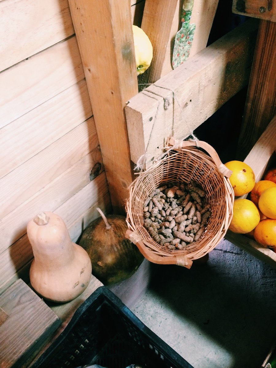 HemsleyHemsley's tweet photo. Look at this lovely fresh turmeric – this ‘superstar spice’ is a great anti-inflammatory. Put it in your #PepUpTea! https://t.co/XNGWe2xsR0
