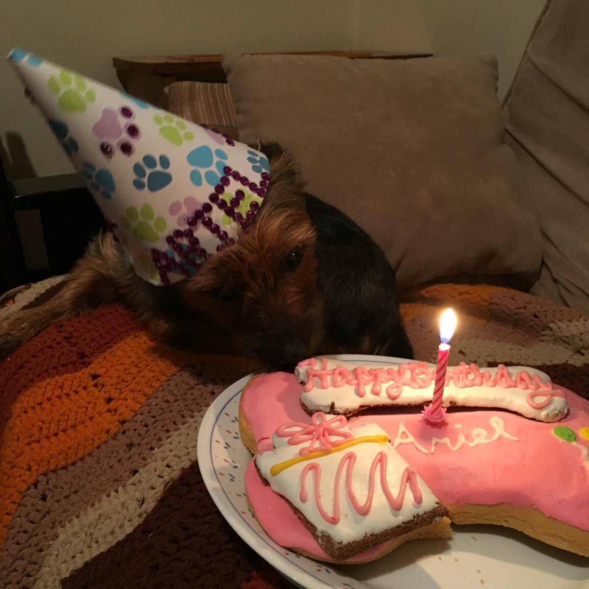 Amber1223's tweet photo. It's Ariel's birthday and she had a #bonecake @official_orfeh https://t.co/0NmsEHcTTb