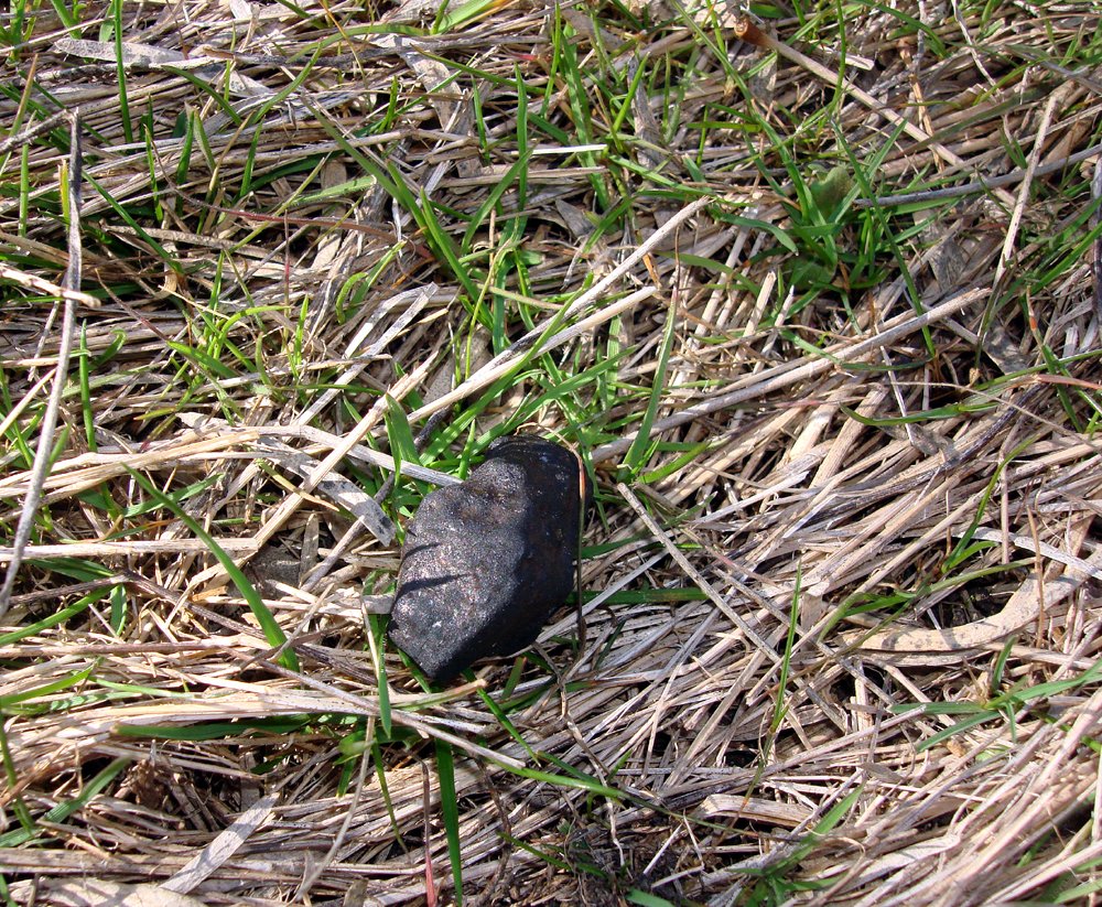 SentinelMission's tweet photo. VIDEO: Finding Asteroids In Your Back Yard, Peter Jenniskens
https://t.co/7RP2t5feGj 
#LetsFindAsteroids #Asteroids https://t.co/mzNYJlGWjp