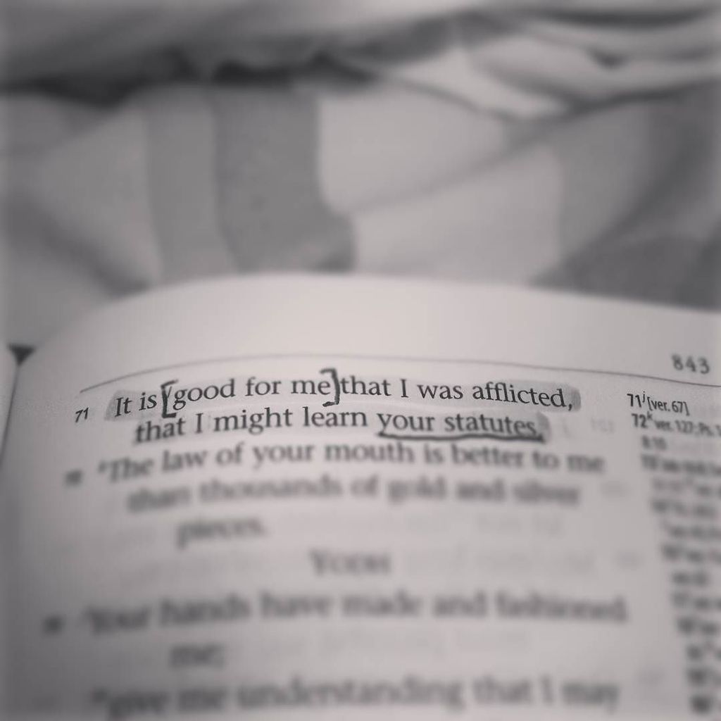 JeshuaHorca's tweet photo. God wants us to experience for ourselves that He is all we need.
Thus, He will take us to … https://t.co/HCO2OoLJJA https://t.co/H0bzTafc9o