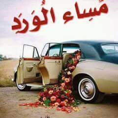 hyona388's tweet photo. يارب إصرف عنـا مـا ��قلقنا ،
 و أرح قلوبنا وَ إرزقنَــا راحـه
 تسع الكون.مساكم ورد❤ https://t.co/5QEX3pgoLG
