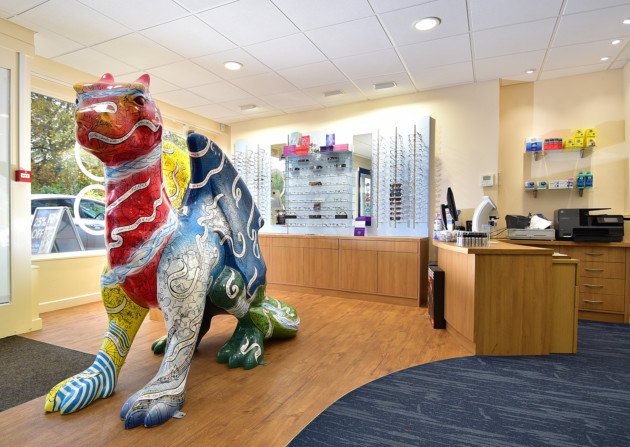 Where are they now? Day Two of our look at the GoGoDragons! new homes eveningnews24.co.uk/news/where_are…