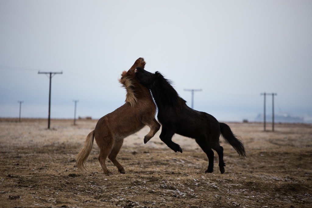 MULL IT OVER tweet media