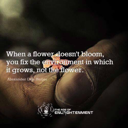 Love this!  How often do kids get blamed for not learning?  We, as teachers, need to look at what we are doing!