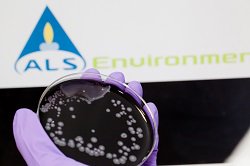 ALSUKIreland's tweet photo. #legionella #ALSEnvironmental #colony #plate #laboratory #micro #microbiology #test #analysis https://t.co/oGyibh8MWi