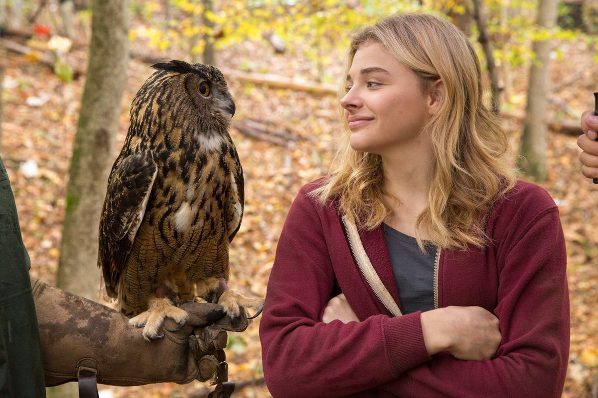 SonyPicturesUK's tweet photo. #TBT to when @ChloeGMoretz made a new friend on the set of #5thWaveMovie! https://t.co/pBcJMh82si