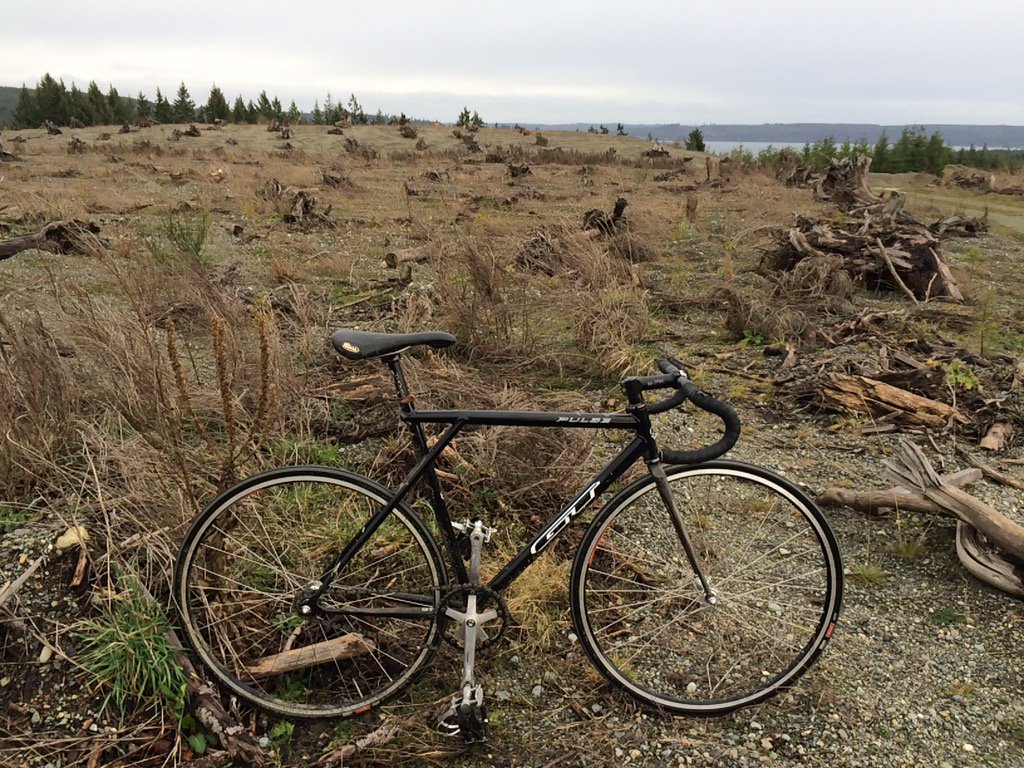 pedalroom's tweet photo. Land of the dead trees. #GTPulse https://t.co/rEMf9BD5vK