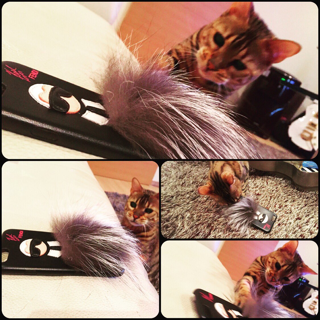 glamrock1213's tweet photo. 新しいiphonケースはグラムのおもちゃ
カールラガーフェルドかっけー
#karllagerfeld #karlit #fendi #iphonケース https://t.co/tSiCZl7Kxe