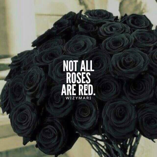 ICCYGRL's tweet photo. ❤️❤️ https://t.co/Zcvtz5jKAZ