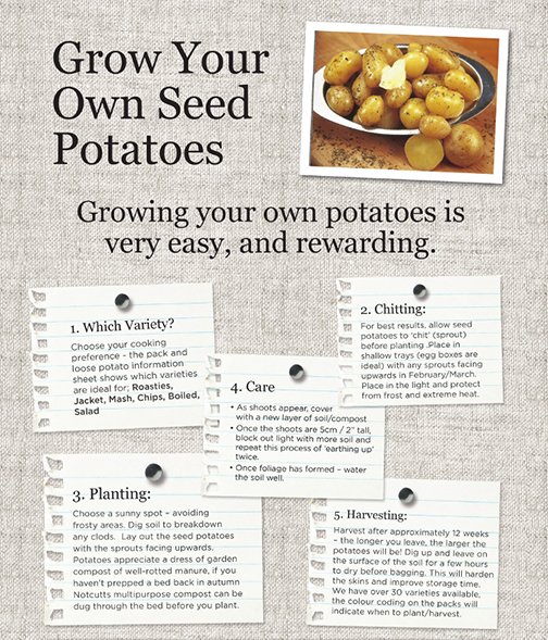 Notcuttsuk's tweet photo. Why not give potato growing a go! click here for the full article. https://t.co/kVQTtWOGA0 https://t.co/w8MTayquDh