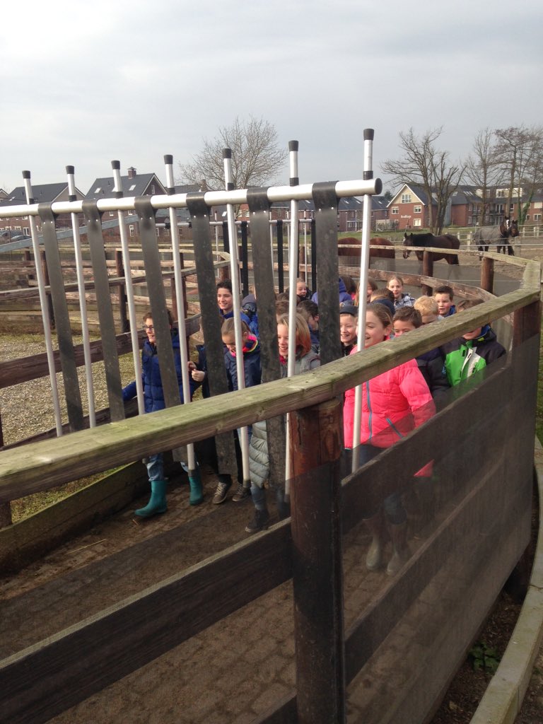 SportcoachWberg's tweet photo. Vandaag mocht de @Griftschool een bezoek brengen aan de Manege! #SportBuurtCoach https://t.co/K1NLYgGqvJ