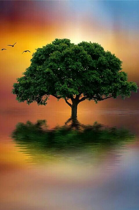 RT @CarluzCh: "<a href="/dlmiussdf/">David LM</a>: Siempre de pié. "