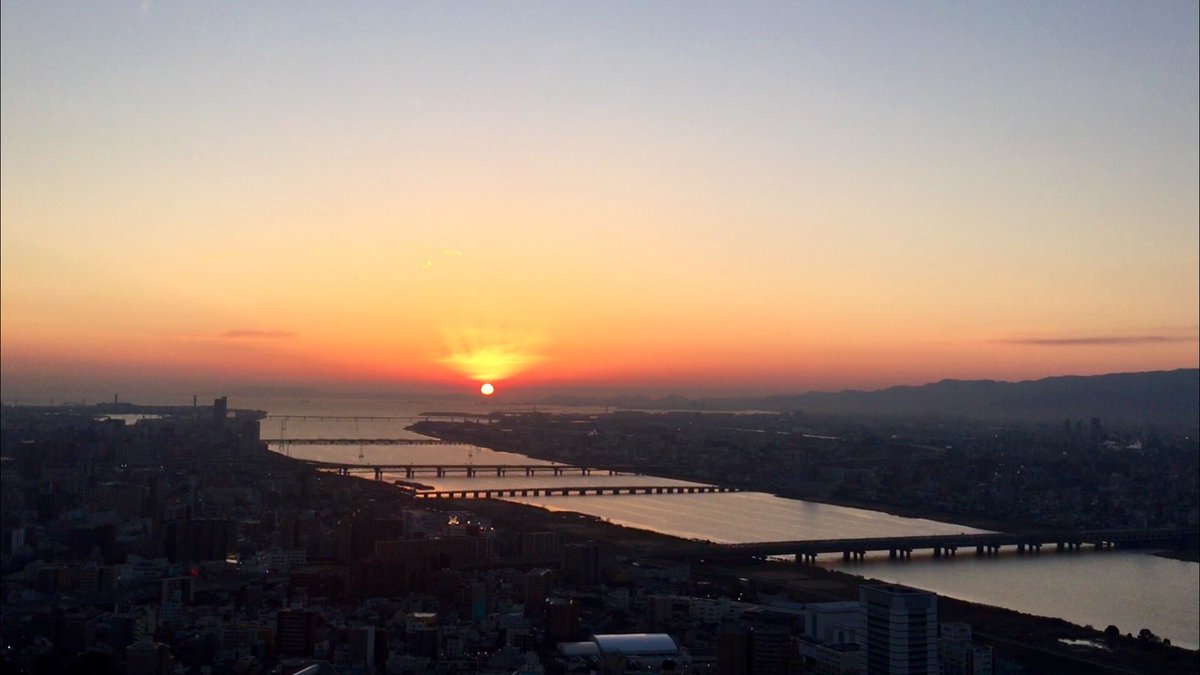 orangesgo's tweet image. 