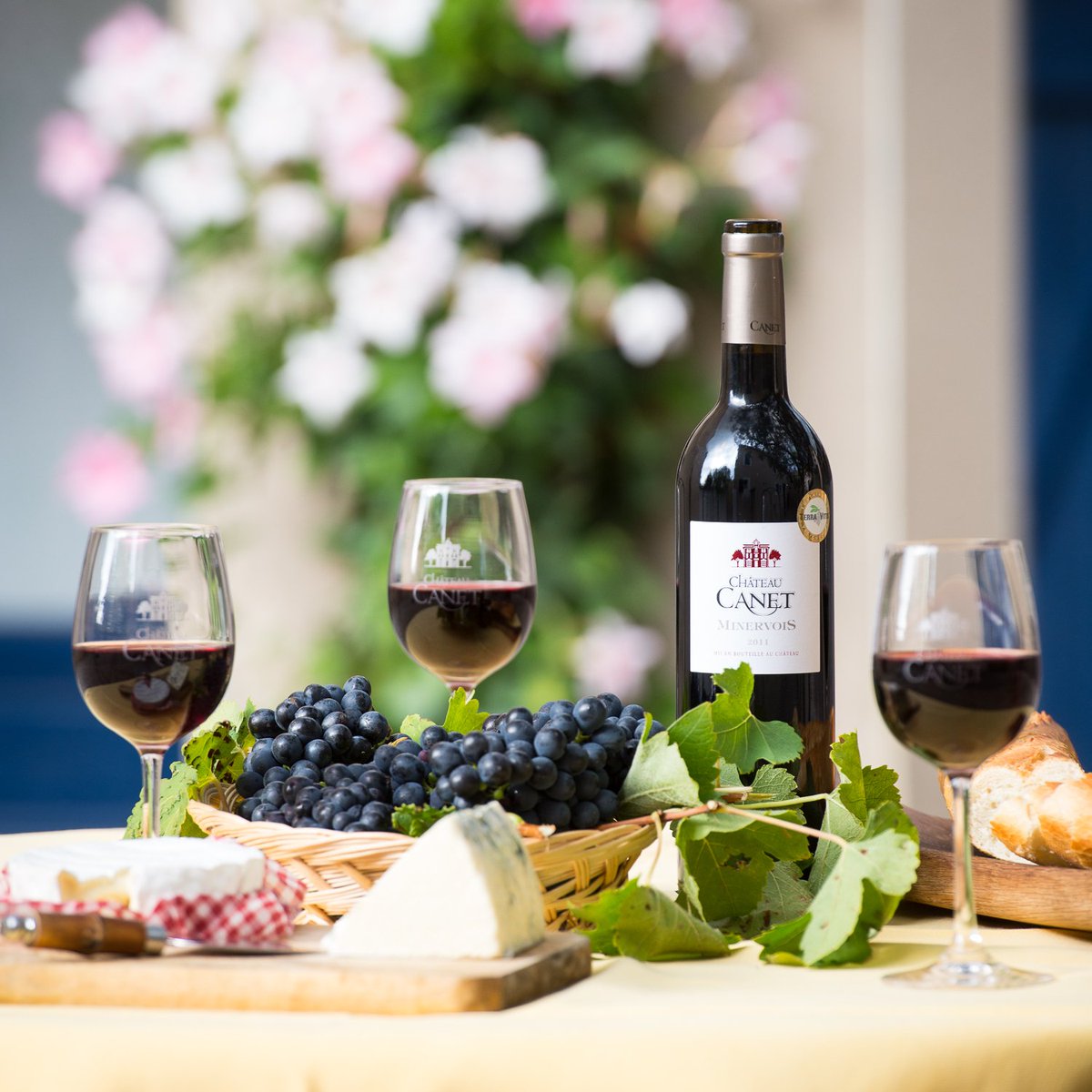 jybphoto's tweet photo. It's #NationalDrinkWineDay - happy memories of the South of France @ChateauCanet https://t.co/VlMA1bm8ct