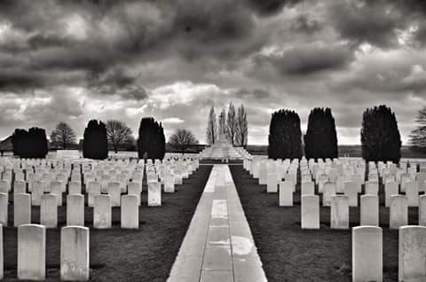 WWI Collector tweet media