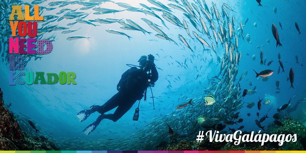 minturgalapagos's tweet photo. La capital política de las Islas es Puerto Baquerizo Moreno y su capital turística es Puerto Ayora #VivaGalápagos https://t.co/84B8hJd4VJ