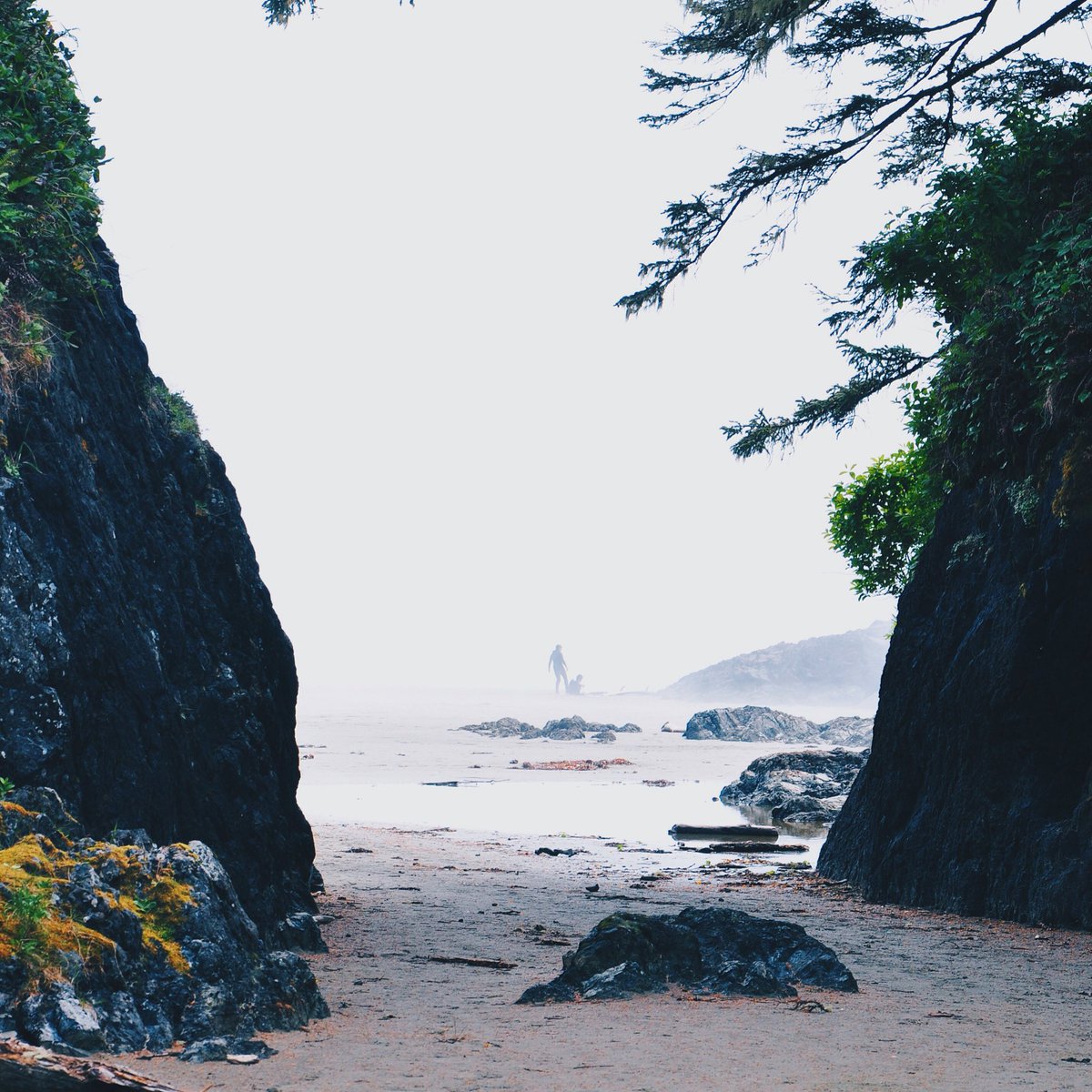 ldl_jr's tweet photo. Take me back. @HelloBC @TourismVI @tourism_tofino @ExploreCanada ❤️🍁😍 https://t.co/ZLl9Plg7VY