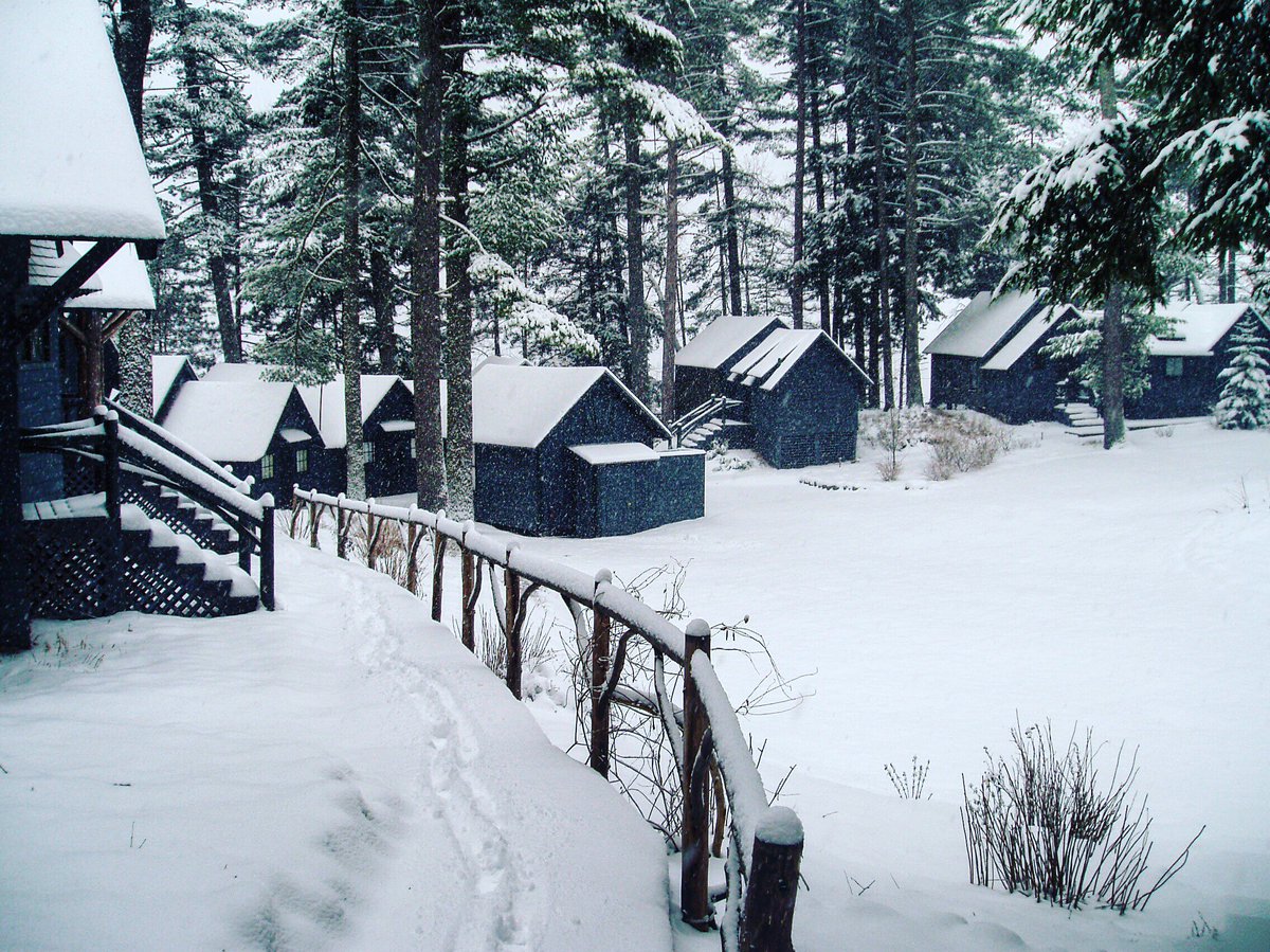 Guideboat Company tweet media