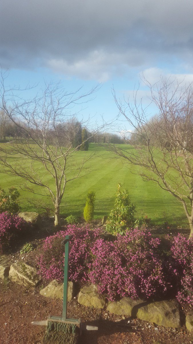 @DentonGolfClub , 1st tee has been hand mowed and looks mighty impressive #topgreenstaff.