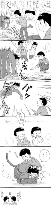 らんまネタで一カラ。
頑張って全巻あつめたのにどこいったんだろう… 