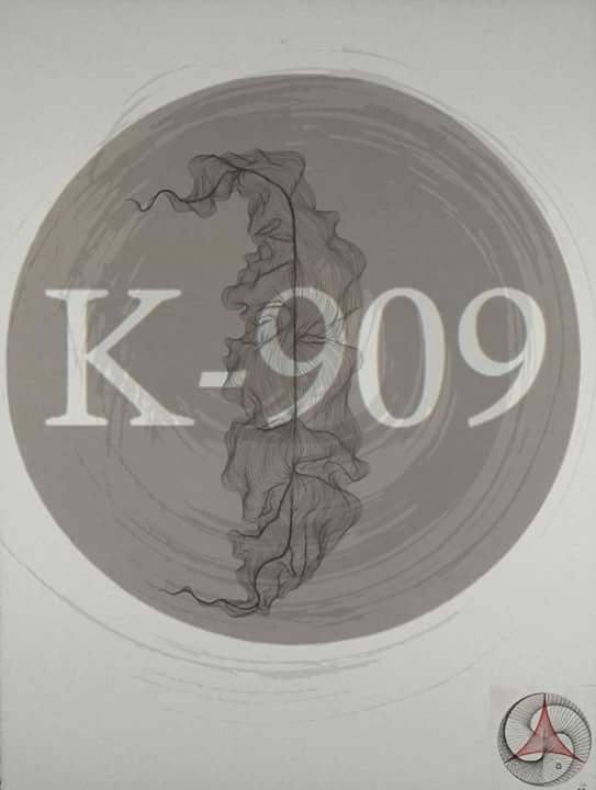 SAVE THE UNDERGROUND MUSIC !
FOLLOW US. 
MANY SURPRISE NEXT MONTH 
K-909 crew 
#party #night #follow #music #underg.