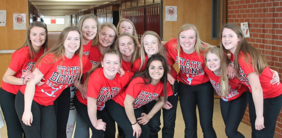 Detroit Lakes High On Twitter Good Luck At State To The Dlhs Gymnastics Team Lakerpride Https T Co 9qosx5vmhk