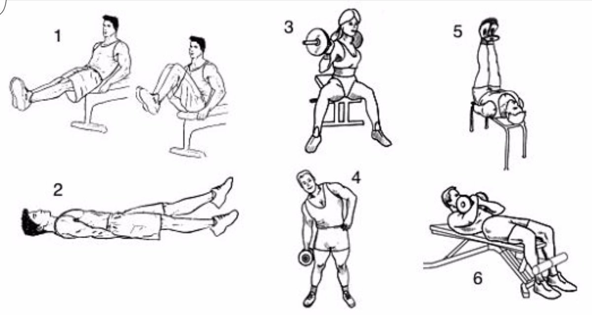 Amaya_Fitness's tweet photo. Rutina Six-Pack Abs 💯✌
5 series - 25 Repeticiones

➕ Workout/Rutinas 👉 https://t.co/Om3ExPCUlX https://t.co/PFvdtvZF6s