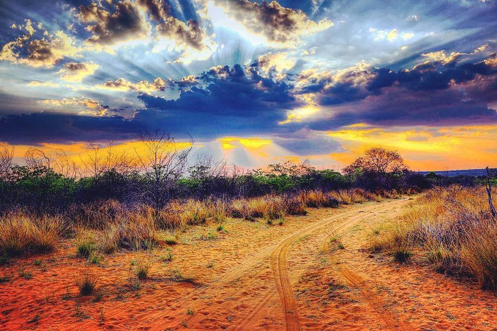 LibraryTravel's tweet image. Crepuscular rays at sunset near Waterberg Plateau (Wabi Game Ranch) in Namibia. 🌞🌞 Tag you… ift.tt/1QocKY3