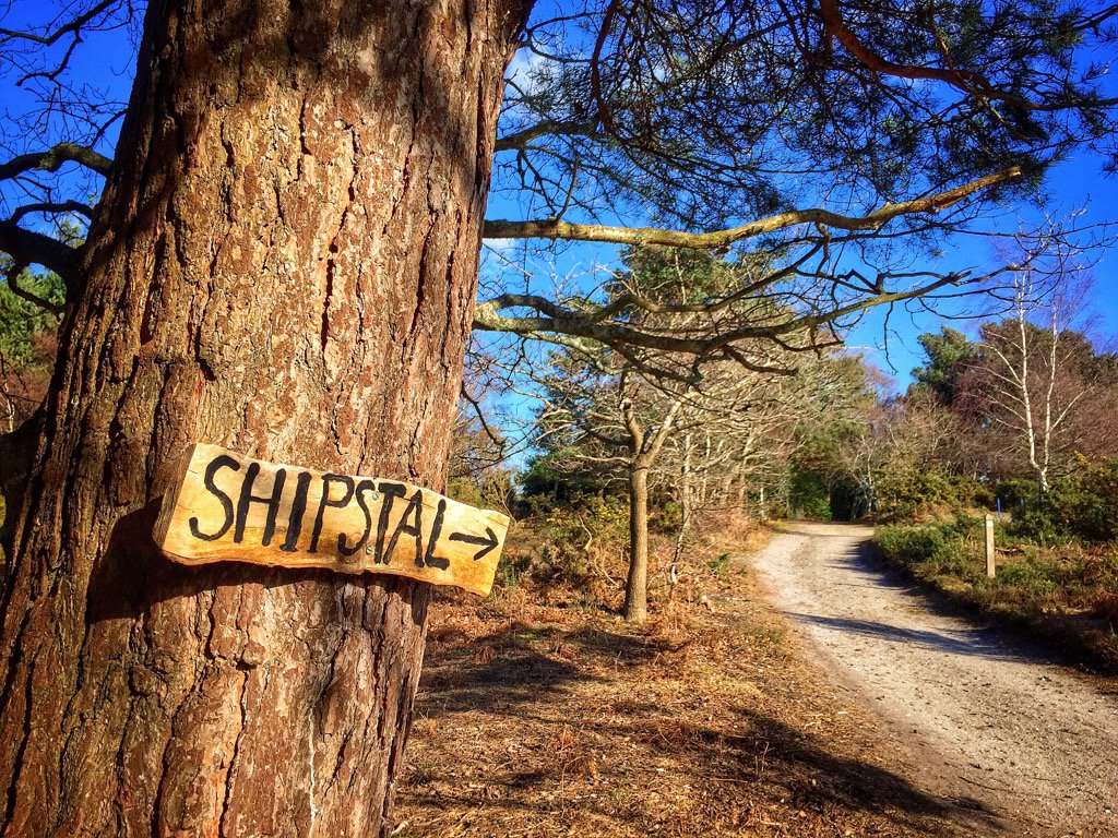 PaulaCollins15's tweet photo. Perfect day for a nature walk @RSPBArne https://t.co/ulNzSFucTv