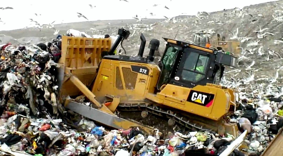 ExpertHE's tweet photo. Cat D7E
#Cat #D7E https://t.co/rGBJrdGx22