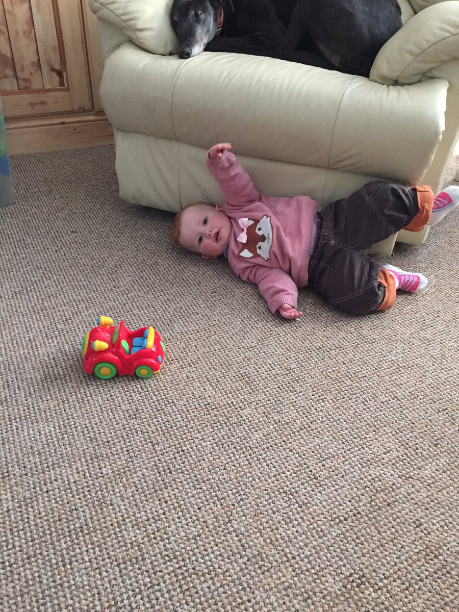 mywaywardsonsuk's tweet photo. @ChadLindberg @samanthajferris My daughter and I were home on #TweetSamFerrisDay She was overcome by excitement! https://t.co/rQ3vUesJaF