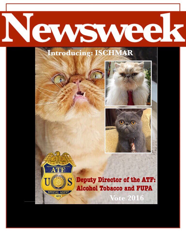 heyseymour's tweet photo. Introducing @ischmar_  Deputy Director of the ATF for the #seymourTidus2016 campaign.@tidus_werner #catsoftwitter https://t.co/5fUHD5p3Zn