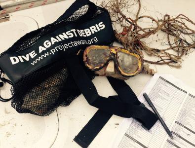 diving toolkit 4 cleaning ocean plastic in 12 languages! #plasticfreeisland @PlasticPollutes tinyurl.com/jmts2tk