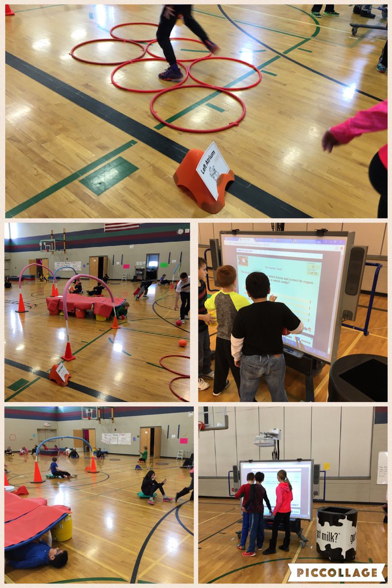 pinkbikes1's tweet photo. Experiencing a working heart @Horizon_Elem @Scannell_PhysEd #creativePEteachers #memorablelesson https://t.co/aw2lKTgrGs