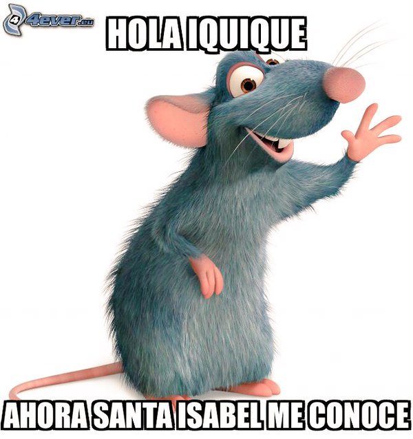 pvzamora's tweet photo. #sodimac #santaisabel #ratones #clausurado #insalubre #SanidadBasica #ratas #easy #MouseFail https://t.co/xehEjKEQqV